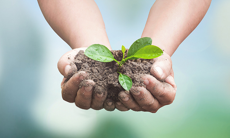 ceteq_infobox_oekologisch Nachhaltige Softwareentwicklung