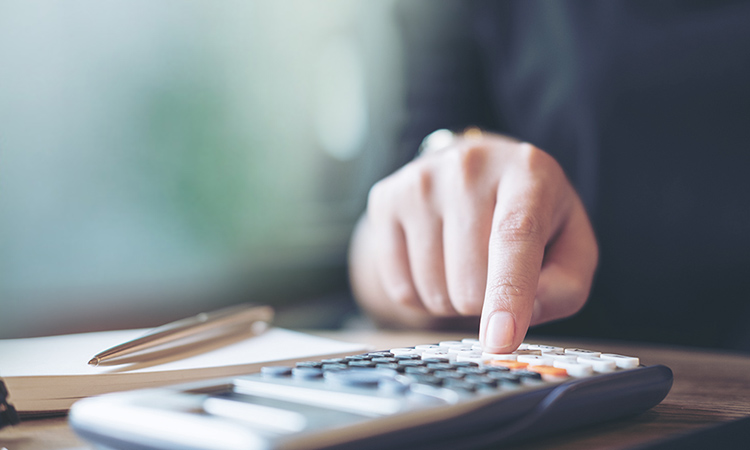 ceteq_infobox_oekonomisch Ökonomische Softwareentwicklung